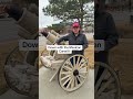 DOWN WITH CARTEL #maga #makeamericagreatagain #automobile #rasner4wy #politicalslogan