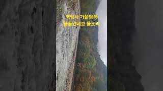 김연순댄스#사교댄스 #댄스강사 #자이브