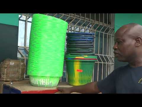 Totala Ndenge Gtki Bumbu Champions Du Monde Ndenge Asalaki Na 2024 Bino Moko Bolanda 