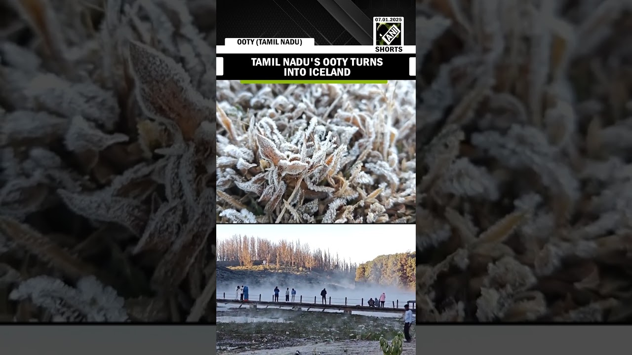 Tamil Nadu's Ooty transforms into icy wonderland as minimum temperature drops