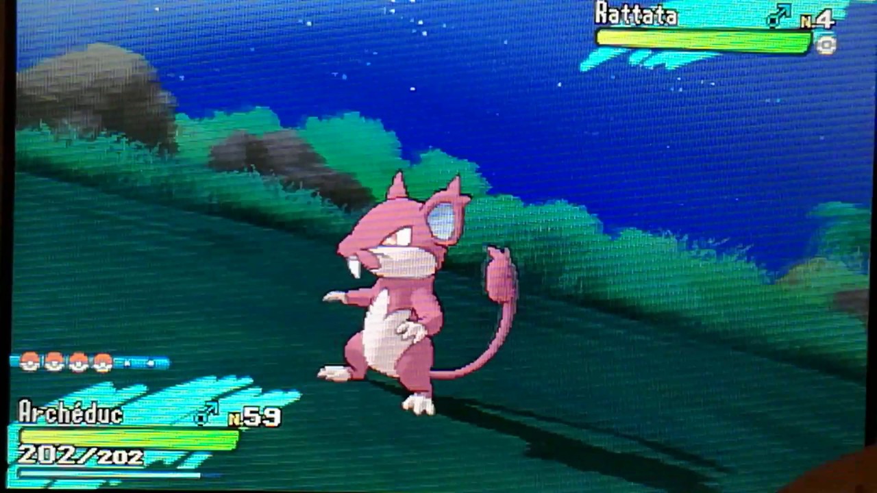 RATTATA D'ALOLA SHINY ! / POKÉMON SOLEIL - YouTube