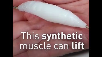 3D-Printable Synthetic Soft Muscle