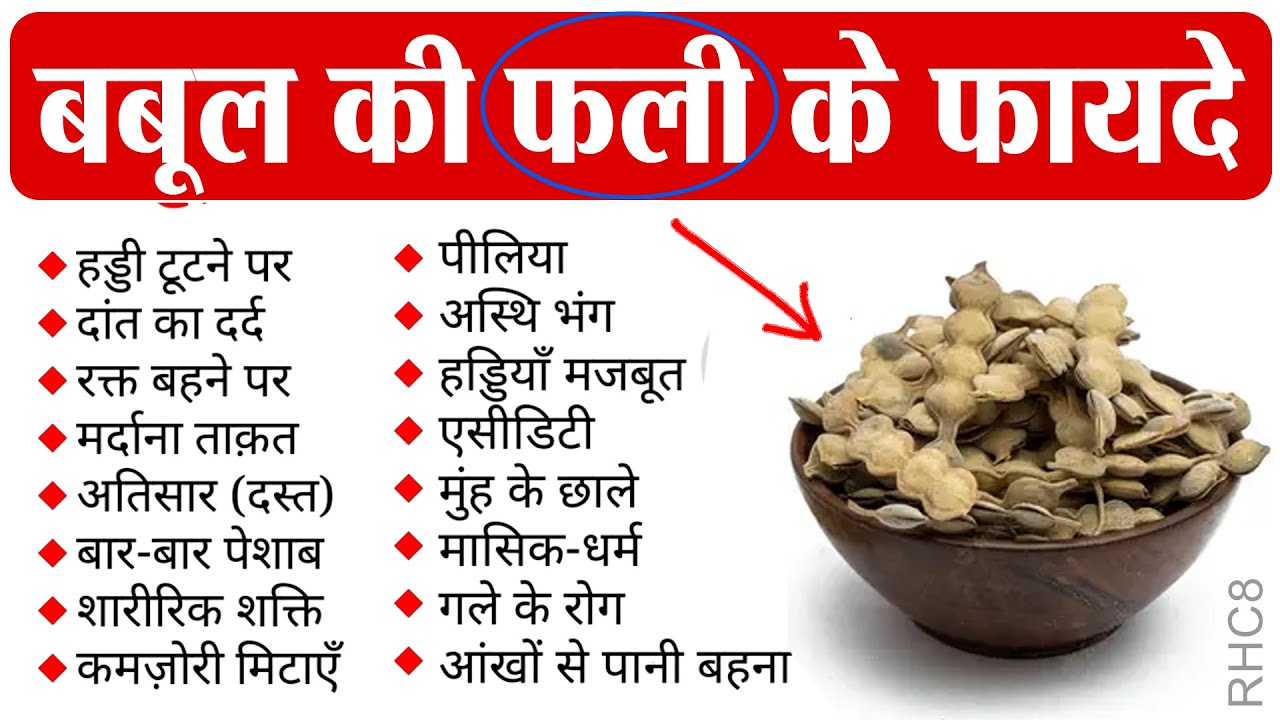 Ayurvedic Benefits of Babool: खज़ाने से भी कीमती हैं बबूल की फली, गोंद से छाल तक सब कुछ RHC7
