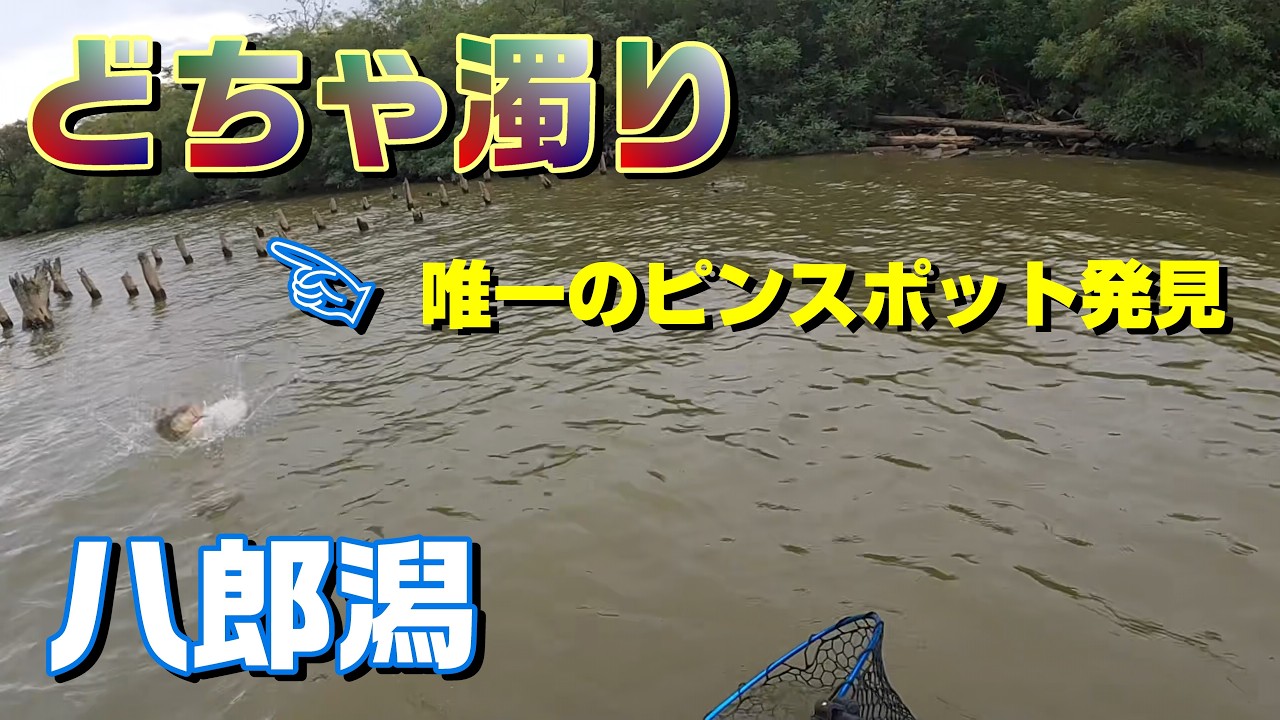 【2025】八郎潟ガイド理想の場所で、、、
