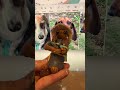 Custom Dog Nativity Pieces, Made with Love 🤍 WWW.SAVANNASHOPS.COM #dognativity #doglovergift