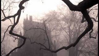 Plaggha - Born a Night from a Rotten Womb