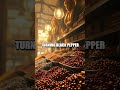 Tastes Through Time: A Global Tale of Everyday Foods