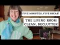 Five minutes, five ideas! Living room clean, declutter motivation! Flylady missions, zone 5