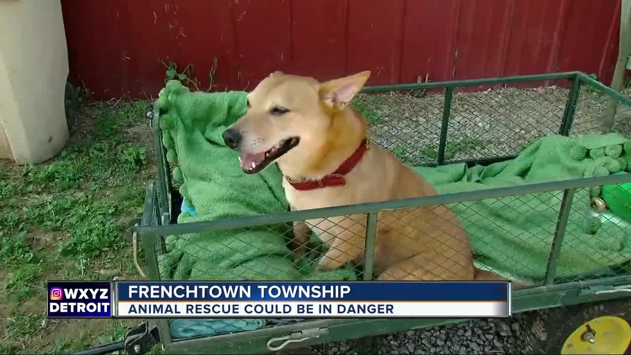 Frenchtown Township animal rescue in danger of being shut down. YouTube