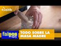 La masa madre, sus características y modo de conservación