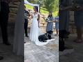 This is also its most important day.#dog #wedding #happy #pets #doglove #cute