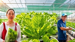 TODAY TRANG VISITS A "HYDROPONIC" VEGETABLE GARDEN RUN BY A CIVIL ENGINEER.