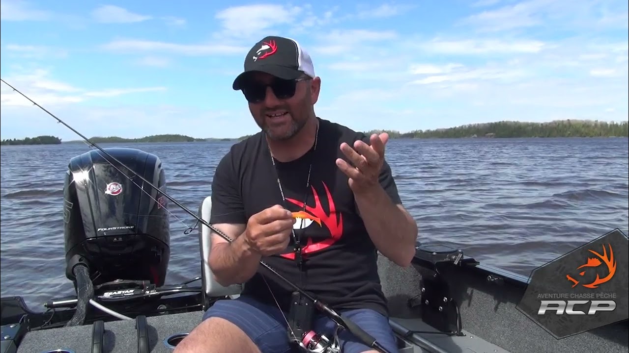 Chronique de pêche - Attache ou pas? 