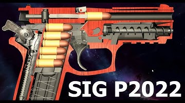 How a SIG P2022 Pistol Works | Operation and Field Strip | World of Guns