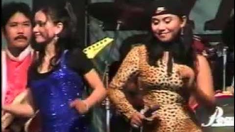 OM PALAPA LAWAS - apa kabar - all artist