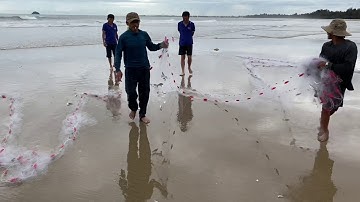 Lưới Cá Đối Ở Biển Lagi