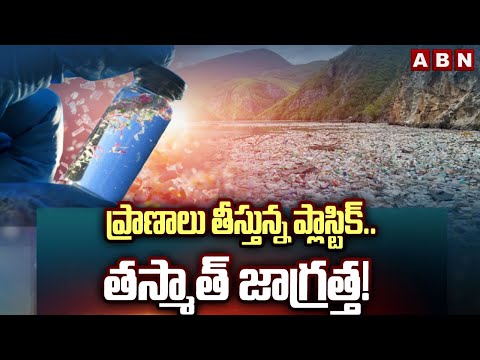 ప్రాణాలు తీస్తున్న ప్లాస్టిక్.. తస్మాత్ జాగ్రత్త! || Plastic Effect || ABN Telugu - ABNTELUGUTV