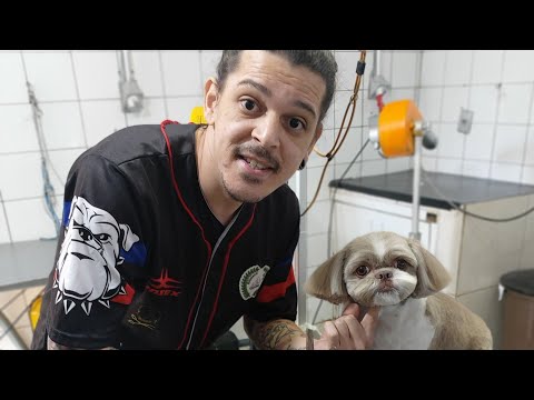 25.06.2012 - Música da Minha Vida - Renato Gaúcho (Caiobá FM) 