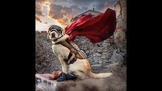 La Fuerza Del Amor Estamos Unidos Mexicanossergio Alberto