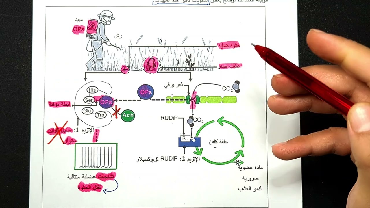 حل تمرين أسترجاع المعارف الموحد 🛑 في 50 ولاية .
