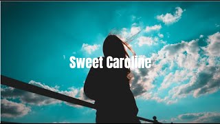 Video thumbnail of "Sofia Carson - Sweet Caroline (Lyrics) | Purple Hearts"
