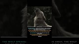 MIRACLE OF SPEAKING WOLF 🐺 || #shorts #ytshorts #viral #islamic