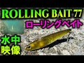 水中映像【ローリングベイト77】港湾シーバスの攻略に！タックルハウスROLLINGBAIT77