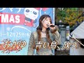 【おんなギター流し】おかゆ『青い鳥、放つ』路上ライブ(上野シタマチ.クリスマス2025)