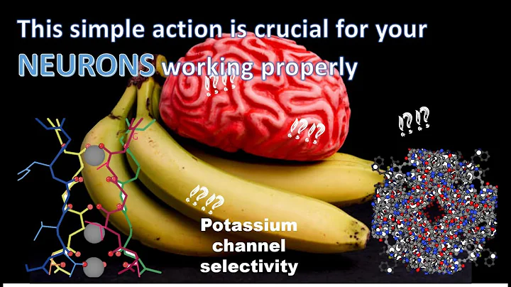 Potassium channels selectivity