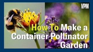 How to Make a Container Pollinator Garden