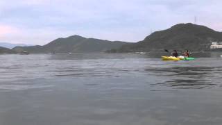 20120617ウチノ海3