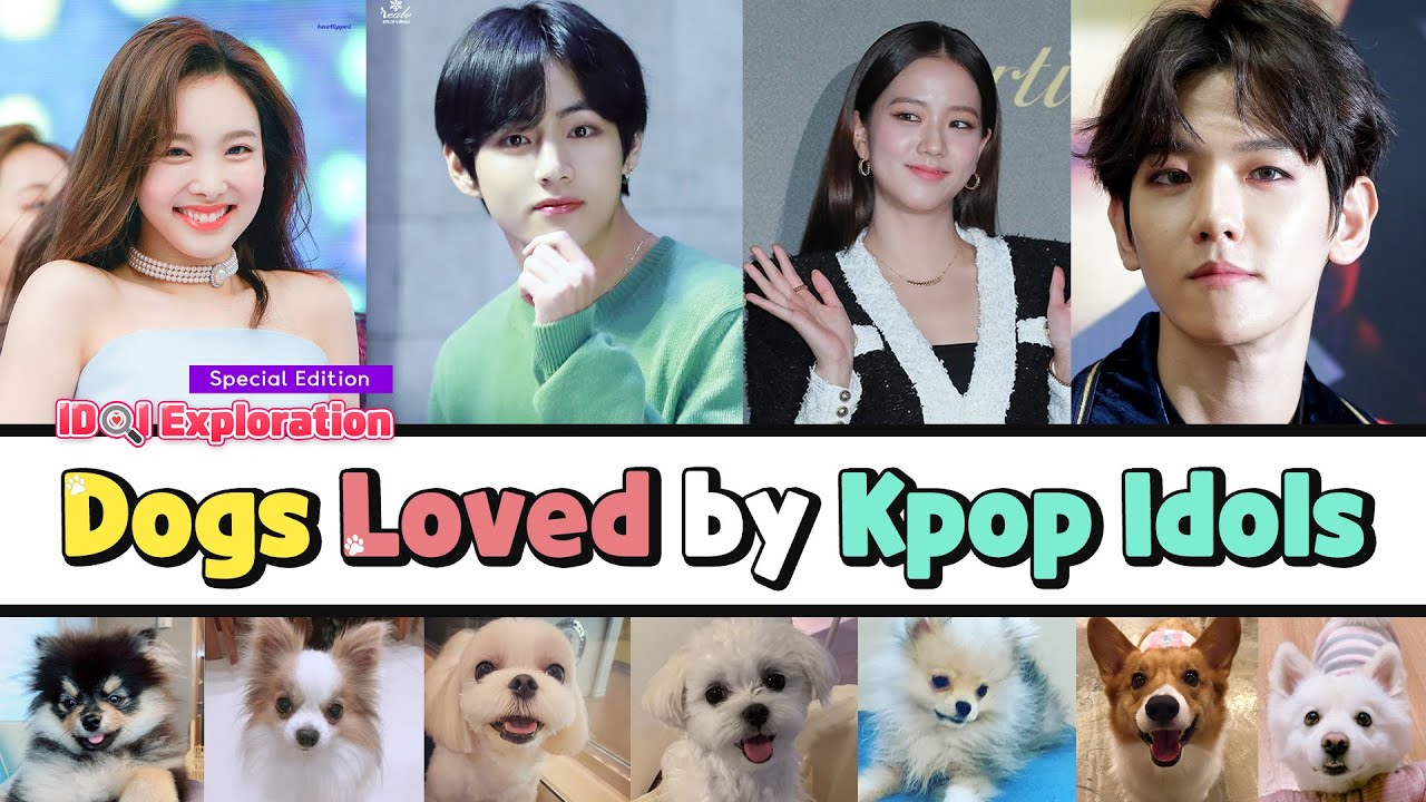 Kpop Idols Pets All About Kpop Stars Super Cute Dogs Youtube
