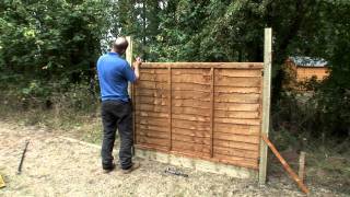 How to fix trellis onto a fence panel This guide demonstrates a simple way of fixing trellis on to the top of a fence panel. This is a great way to add height to your fencing