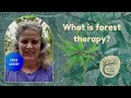 What is Forest Therapy?