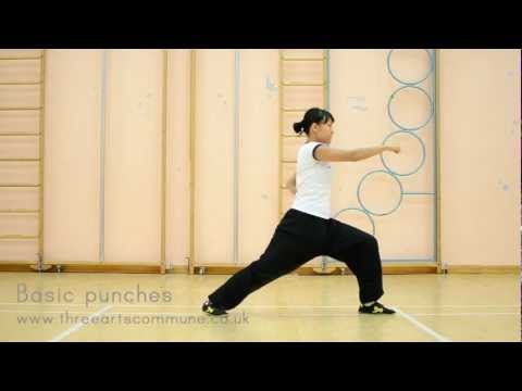 Shaolin foundational punches (Bu Fa & Quan Fa)