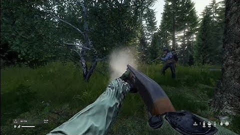 DayZ - My first kill on 1.19 - OFFICIAL 2365