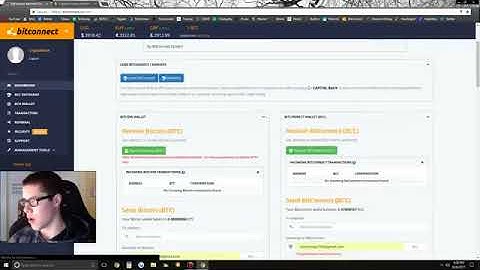 $18000 In Loans On Bitconnect! $175000 Earned In 3 Months