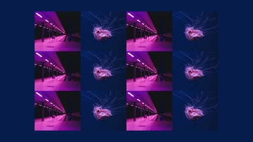 Direction Aware Hover Effect Pure Css