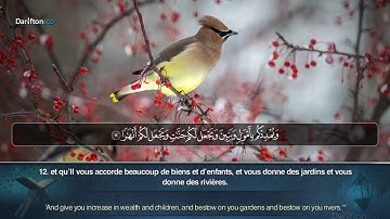 Sourate Nuh - Bashir AbdAllah سورة نوح  بشير عبدالله