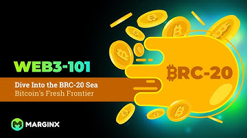 Dive Into the BRC-20 Sea: Bitcoin