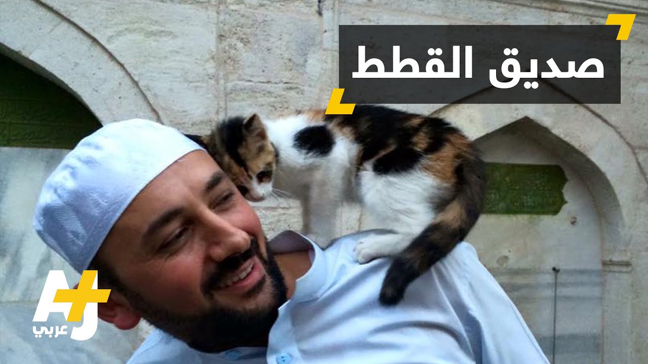 إمام مسجد يُؤوي القطط