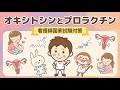 【母性看護学⑦】オキシトシンとプロラクチン