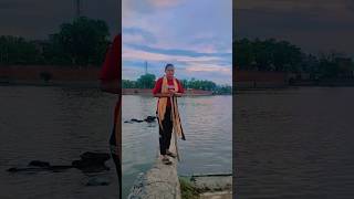 #shorts video #🦬🦬@kukkad vlogs #shorts video #🦬🦬@kukkad vlogs