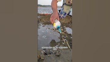 Bạn nghĩ sao về cách đánh bắt hải sản độc đáo của người dân miền biển này?