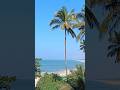 Travel vlog || Goa Baga Beach #beach #travel #amazingfacts #trending #travel #shorts #goa