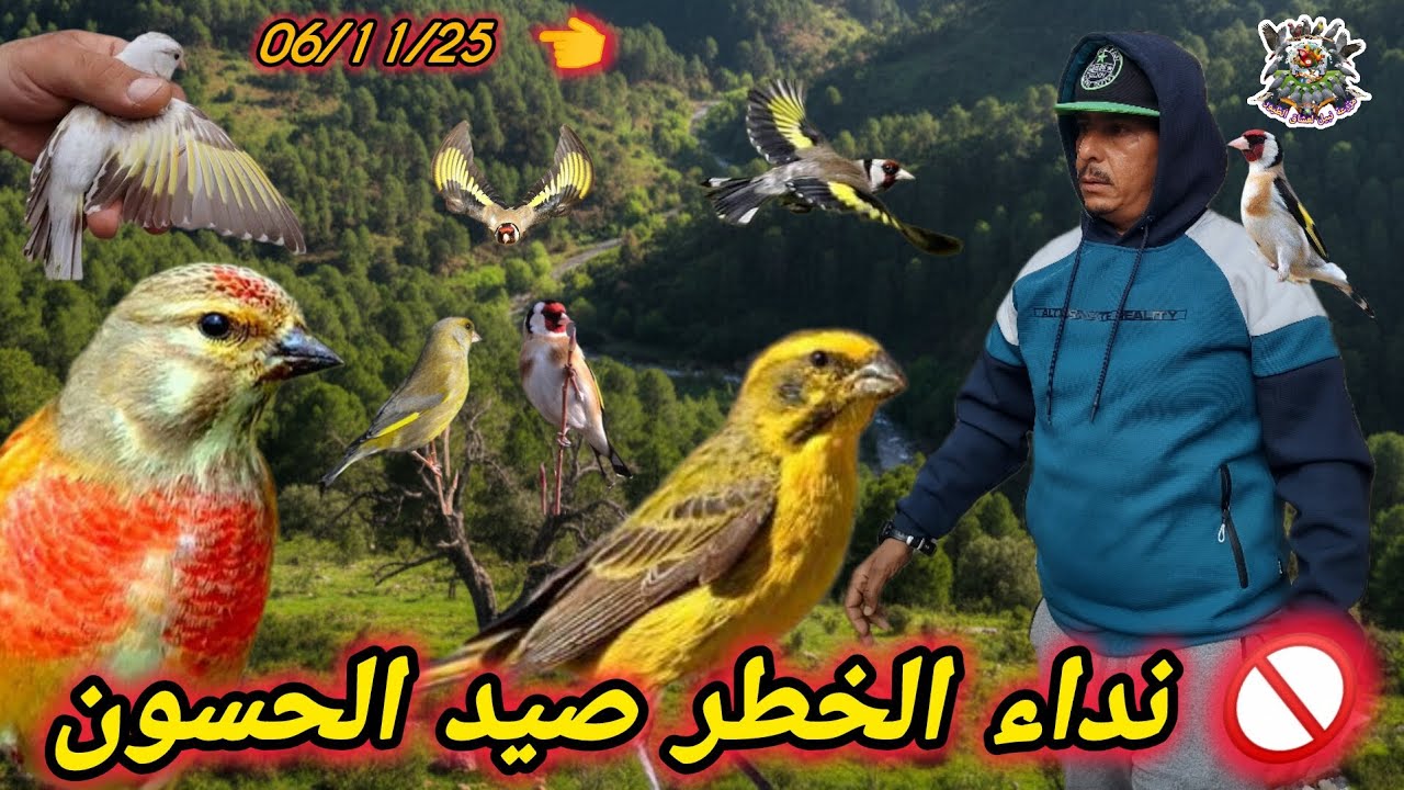 ​⛔ مغامرة ممنوعة شمال المغرب صيد الحسون والخضيري في أخطر الأودية 😱🏞️