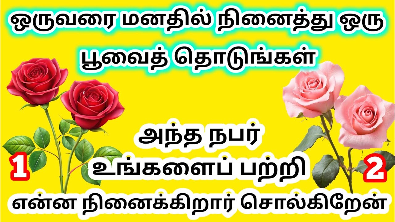 ஒருவரை மனதில் கொண்டு ஒரு பூவைத் தொடுங்கள் அந்த நபர் ஒரு உங்களைப் பற்றி என்ன நினைக்கிறார் சொல்கிறேன்.
