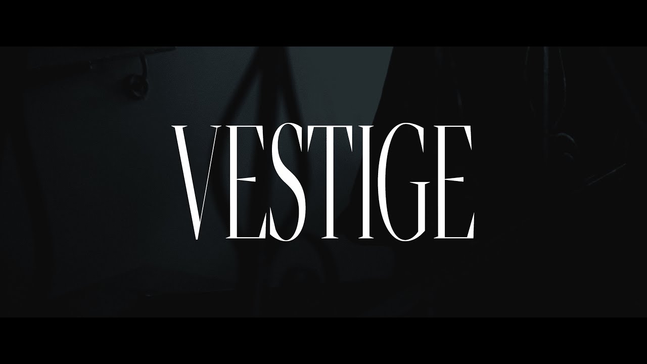 VESTIGE JK Dance Team 2025