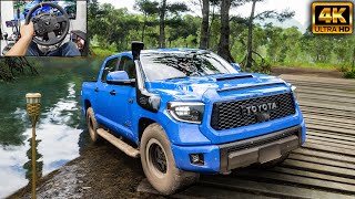 Offroading | Toyota Tundra TRO Pro | Forza Horizon 5 - Thrustmaster TX gameplay