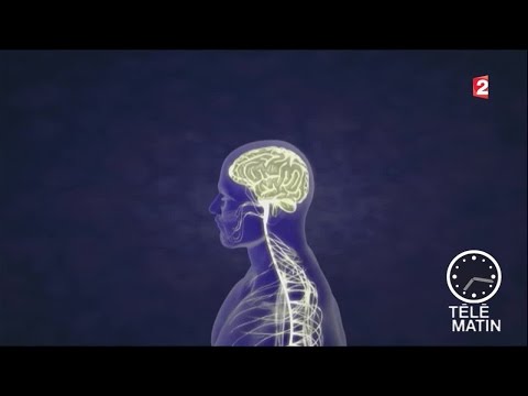 Vidéo: Le Vaccin S'est Avéré Efficace Contre Le Cancer Du Cerveau - Vue Alternative